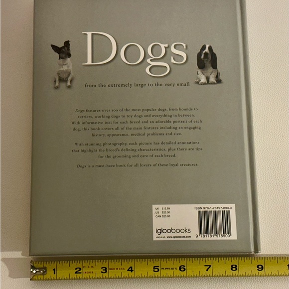 Dogs: From Extremely Large to Very Small • Igloo Books Hardcover Photo Guide - Picture 3 of 16
